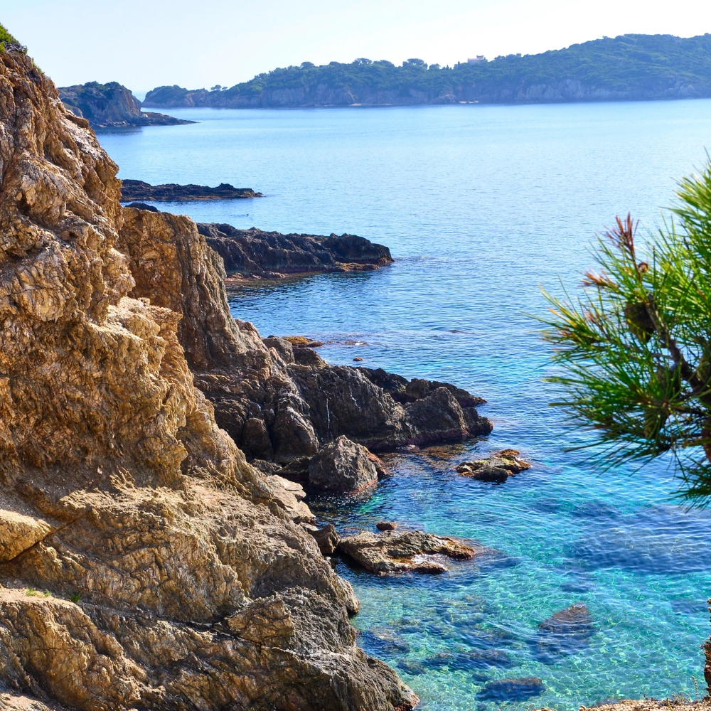 Porquerolles côté sauvage Porquerolles côté sauvage